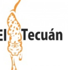 Logotipo