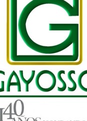 Logotipo
